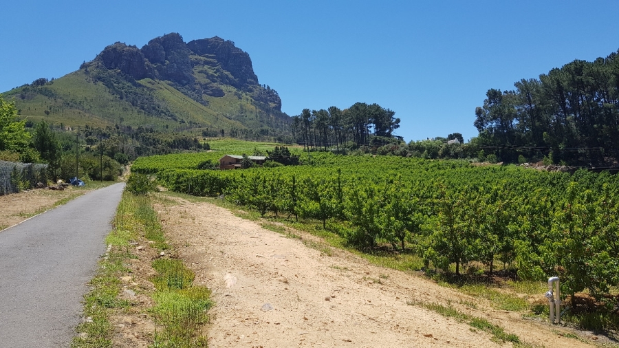 Commercial Property for Sale in Stellenbosch Farms Western Cape